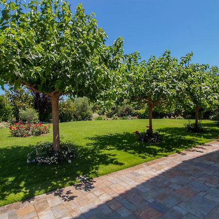 Villa Rodoula In Mystras Спарта Экстерьер фото
